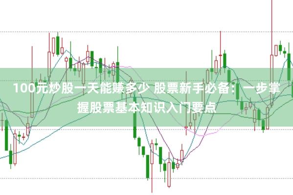 100元炒股一天能赚多少 股票新手必备：一步掌握股票基本知识入门要点