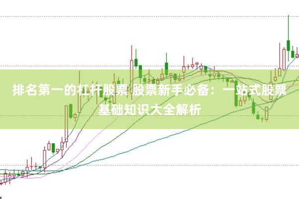 排名第一的杠杆股票 股票新手必备：一站式股票基础知识大全解析