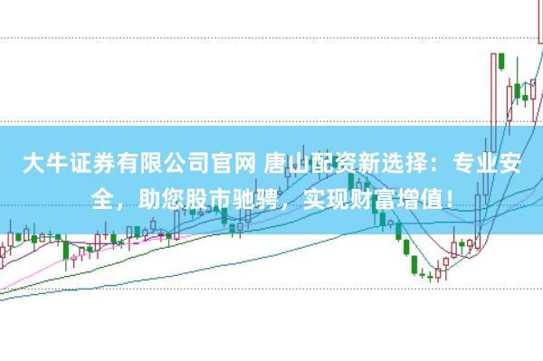 大牛证券有限公司官网 唐山配资新选择：专业安全，助您股市驰骋，实现财富增值！