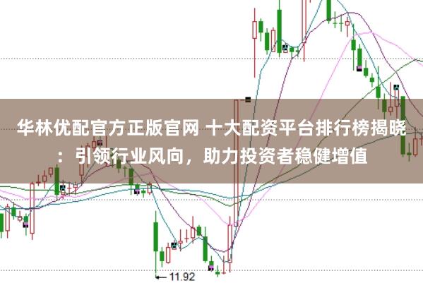 华林优配官方正版官网 十大配资平台排行榜揭晓：引领行业风向，助力投资者稳健增值