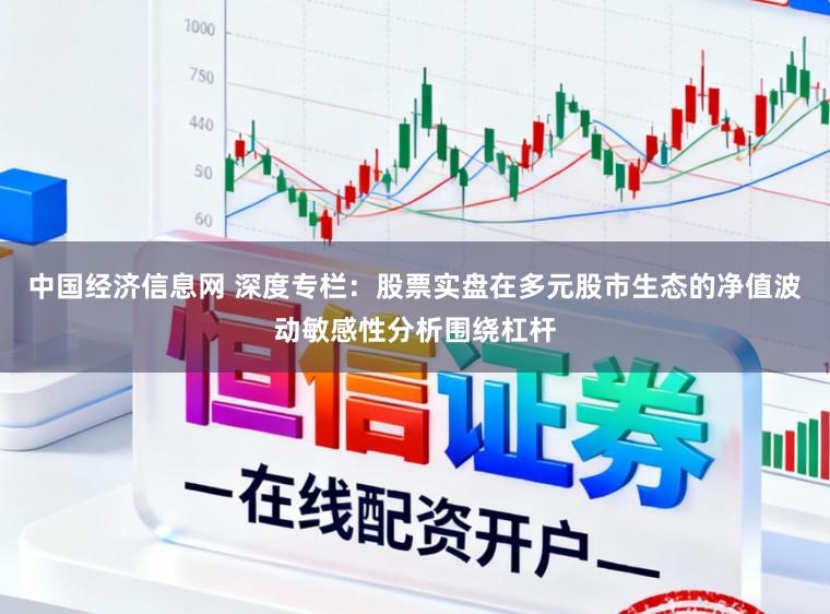 中国经济信息网 深度专栏：股票实盘在多元股市生态的净值波动敏感性分析围绕杠杆
