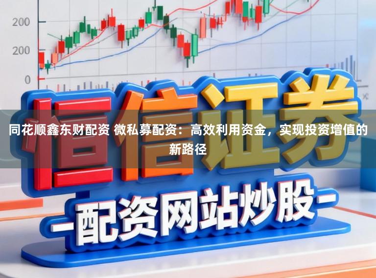 同花顺鑫东财配资 微私募配资：高效利用资金，实现投资增值的新路径