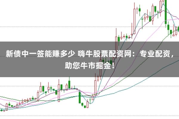新债中一签能赚多少 嗨牛股票配资网：专业配资，助您牛市掘金！